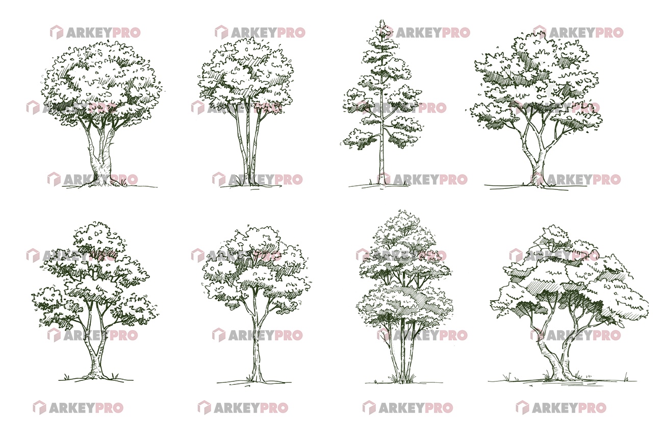 503. Sketchy Tree Slider 01